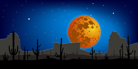 Desert with Saguaro Cactus against moon. Night scene. Vector landscape.