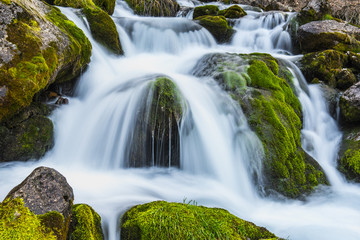 Obraz premium dere suları ve taşlardaki yosunlar