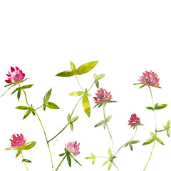 Watercolor clover
