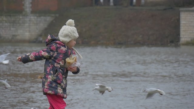 Kid Jumps And Throws Pieces of Bread to a Birds Slow Motion Seagulls are Flying Around Little Girl is Feeding a Birds Seagulls Pigeons at River Bank