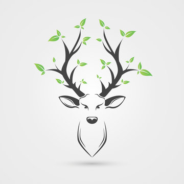 Deer head with leafs. Creative style. Vector illustration