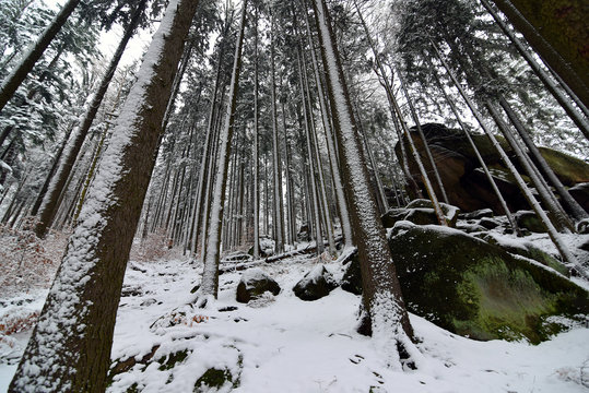 Snowy slope