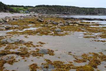 Fishing village and the shore