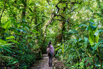 Naklejka na ściany i meble Girl walking on trail in cloudforest - Monteverde, Costa Rica