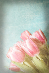 vintage tulip on old paper background