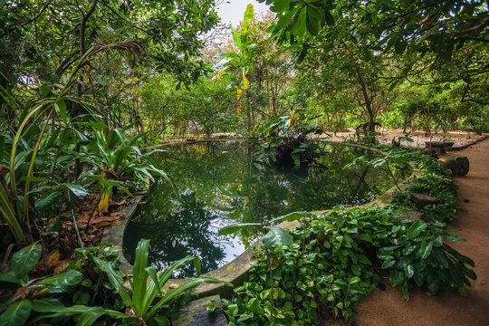 Sri Lanka. Beruwela. Swimming pool in the jungle