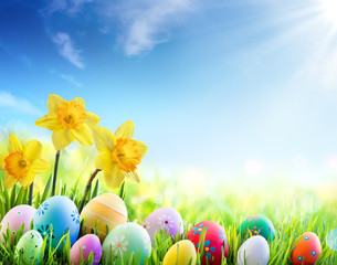 Fototapeta premium Daffodils And Colorful Decorated Eggs On The Sunny Meadow - Easter Holiday Background 