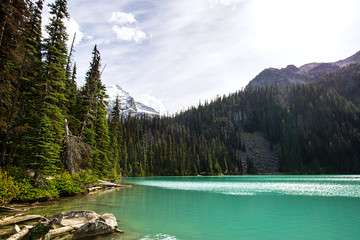 deserted landscape with amazing turquoise milky transparent waters of joffre lake in the middle of a pines trees forest and a steep summit covered of snow during a sunny day