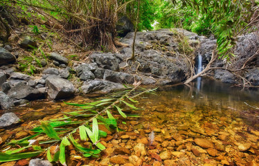 Thailand. Koh Chang island. In the jungle on the way to the waterfall.