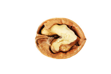 Walnut isolated on a white background