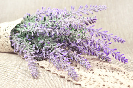 Lavender branch in lace