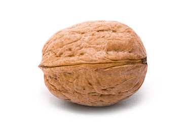 walnut isolated on a white background