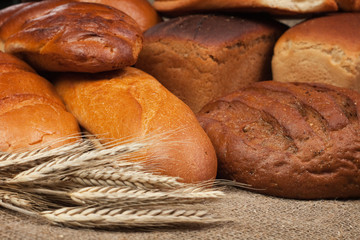 variety of fresh bread with ears of rye background
