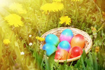 Easter eggs in the grass