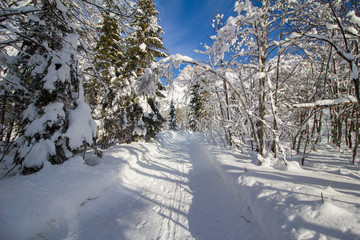 Spazierweg, Winterlandschaft in den Bergen