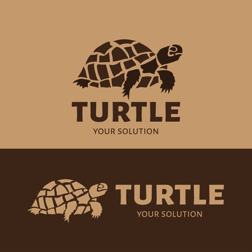Vector logo turtle. Brand logo in the form of a turtle