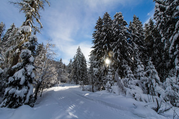 Langlaufloipe, Winterlandschaft in den Bergen, Hinterthal