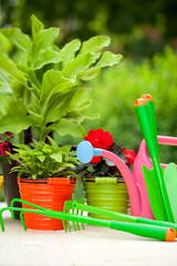 Garden equipment and flowers