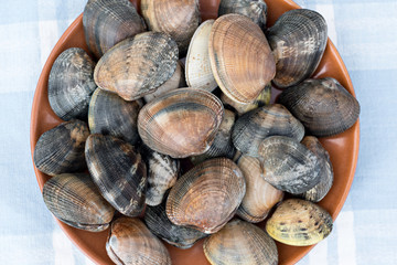 Detail of clams