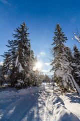Spazierweg, Winterlandschaft in den Bergen, Hinterthal