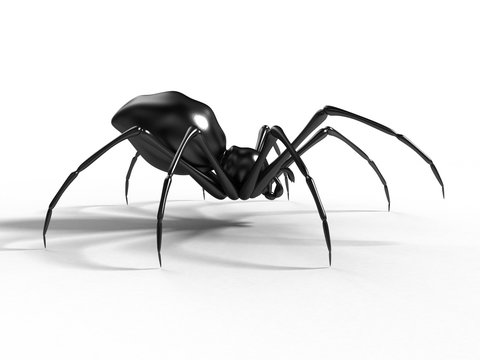  black spider render