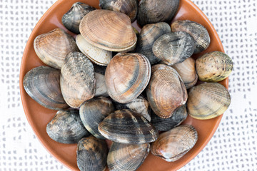 Detail of clams