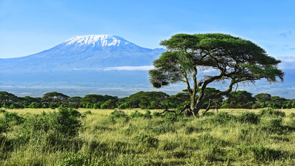 Mount Kilimanjaro in Kenya