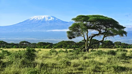 Gordijnen Mount Kilimanjaro in Kenia © kyslynskyy