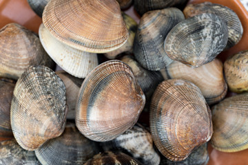 Detail of clams