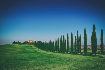 Villa in Tuscany with cypress road and blue sky, idyllic seasonal nature landscape vintage hipster background