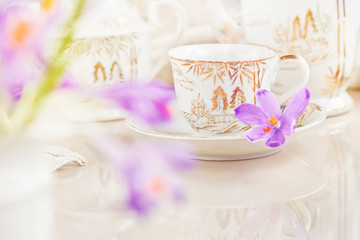 Cup of tea or coffee and crocus flowers