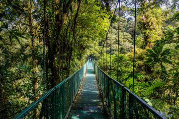 Hanging Bridges in Cloudforest - Costa Rica