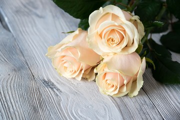Old grey wooden floor with three flowers