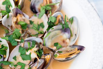 Clams with marinara sauce