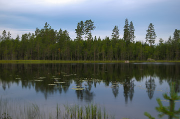 Fototapeta na wymiar Reflection of a forest
