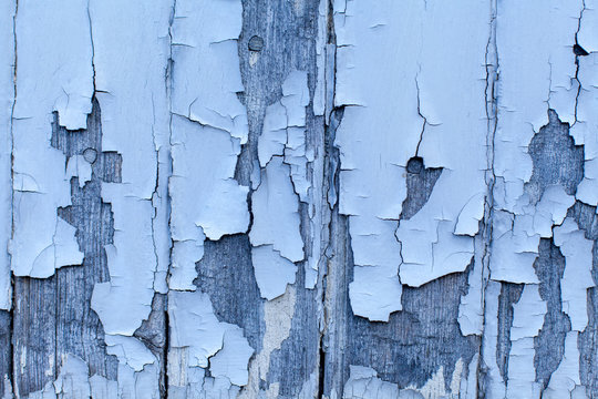 Holz-Textur Blau