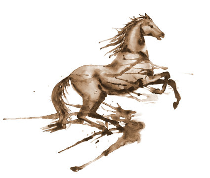 Wet watercolor rearing up horse with sepia ink blots and stains on white. Hand drawing illustration of beautiful black stallion in motion.