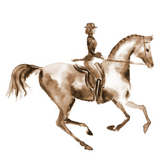 Watercolor rider and dressage horse on white. Equestrian sport. Hand painting illustration equine background. © larisa_zorina