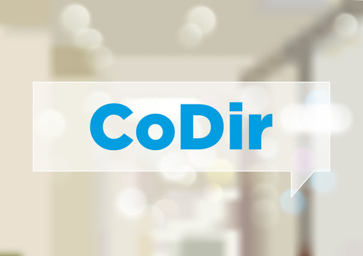 CoDIr - Comit&eacute; de Direction