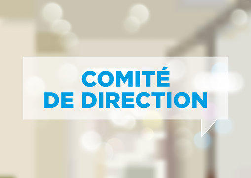 Comit&eacute; de Direction