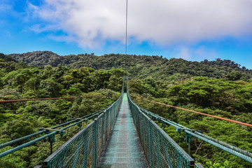 Fototapety  Hanging Bridges in Cloudforest - Costa Rica