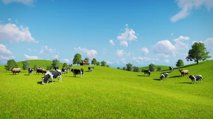 Crédence de cuisine en verre imprimé Vache Troupeau de vaches paissent sur les prairies vertes ouvertes au printemps. Illustration 3D réaliste.
