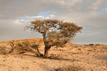 sunset with rain clouds at the edge of the Namib desert