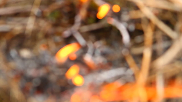 wildfire shot in blur