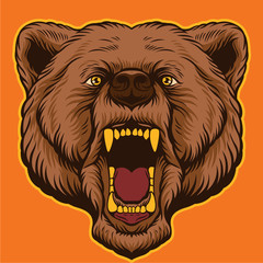 Brown bear head. Vector cartoon illustration