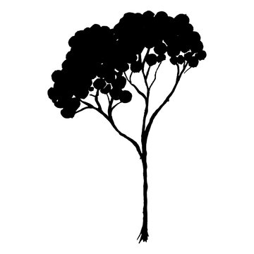 Sketched monochrome tree silhouette vector line art isolated