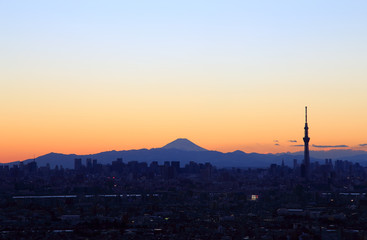 Tokyo skyline with Mount Fuji at dusk