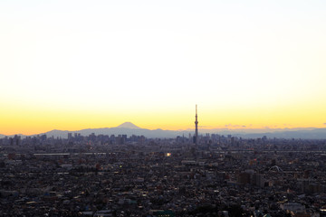 Tokyo skyline with Mount Fuji at dusk