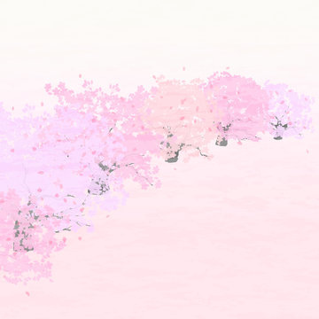 桜並木　背景　桜色　テクスチャ