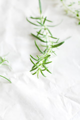Fresh Rosemary on paper background / copy space for culinary themes. 
